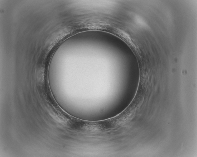 X0000089400299200706151233