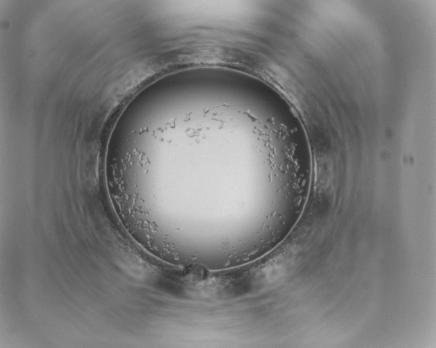 X0000089400301200706151233