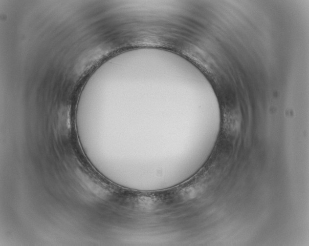 X0000089400302200706151233