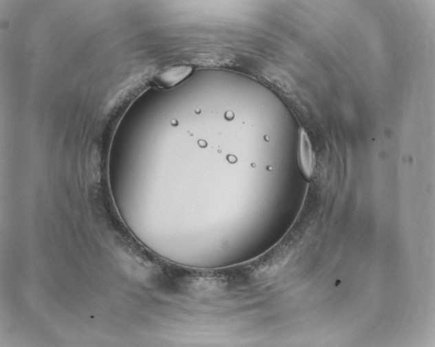 X0000089400303200706151233