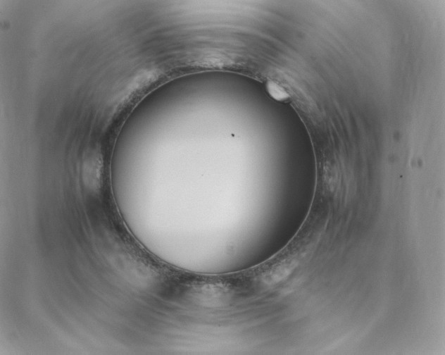 X0000089400304200706151233