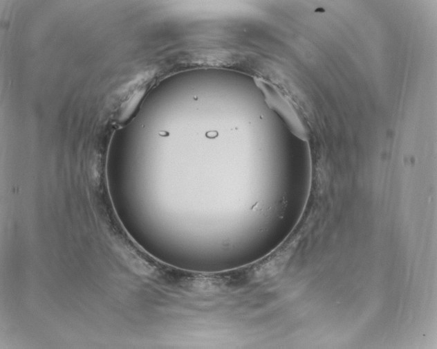 X0000089400305200706151233