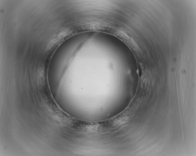 X0000089400306200706151233