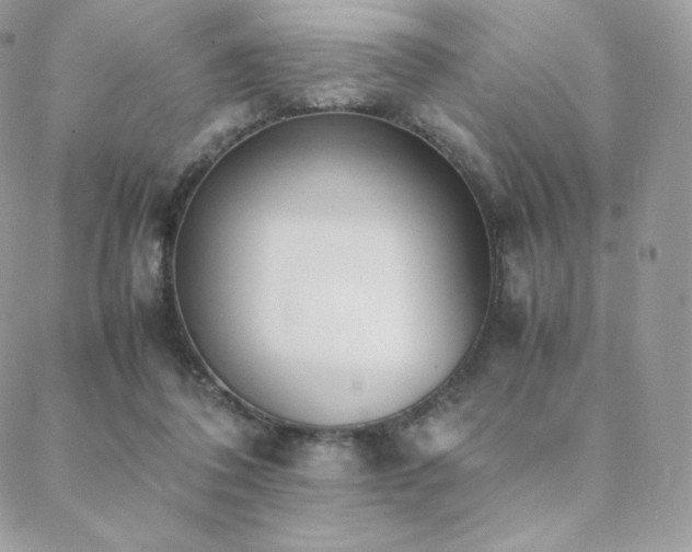 X0000089400308200706151233