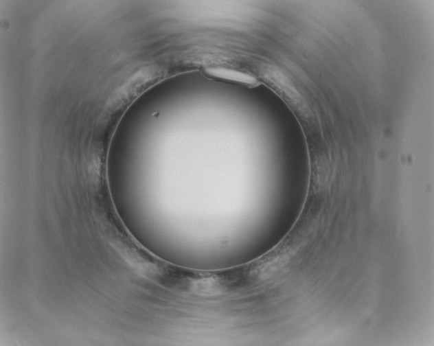 X0000089400309200706151233