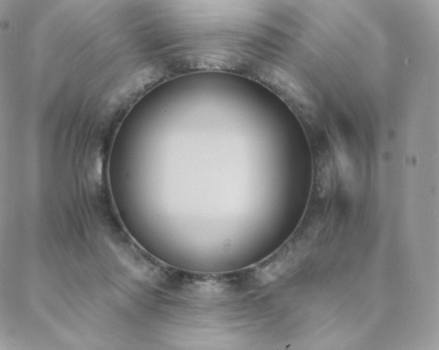 X0000089400310200706151233