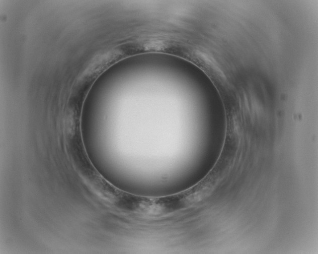 X0000089400311200706151233