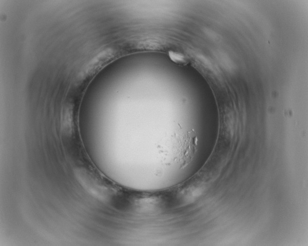 X0000089400312200706151233