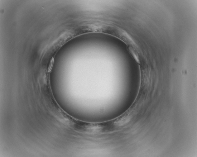 X0000089400313200706151233