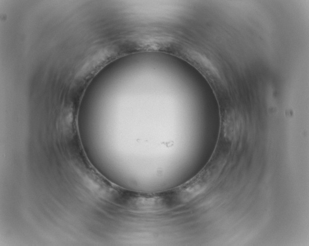 X0000089400314200706151233