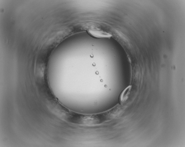 X0000089400315200706151233