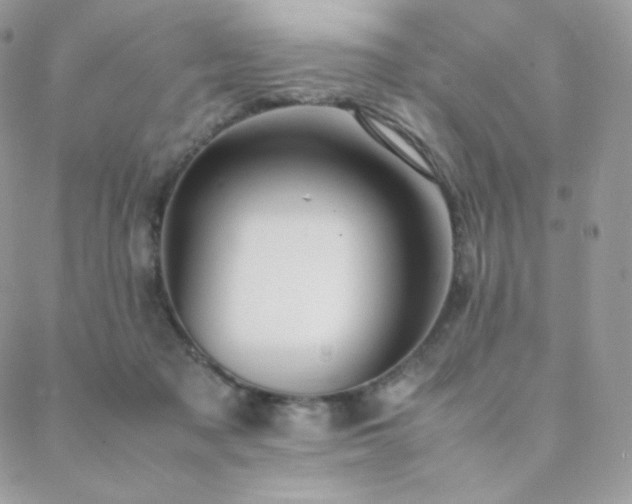 X0000089400317200706151233