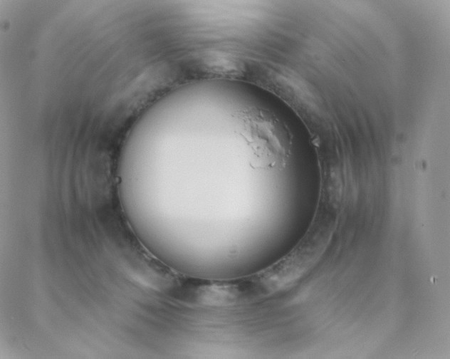 X0000089400320200706151233