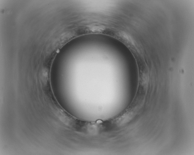 X0000089400321200706151233