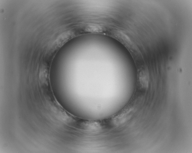 X0000089400322200706151233