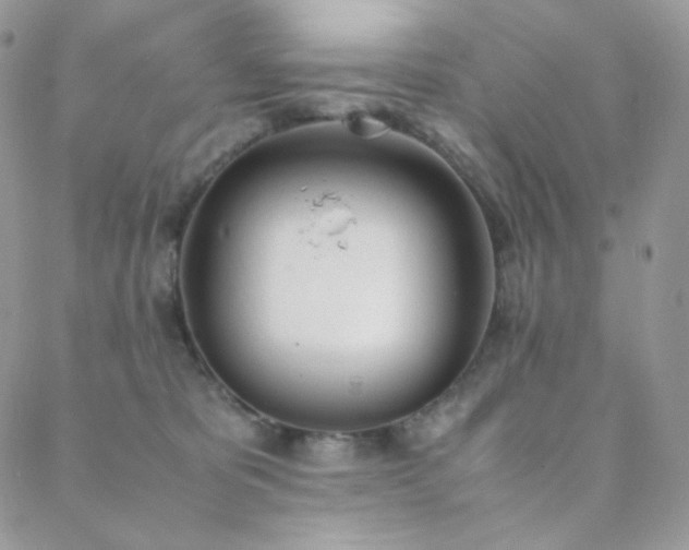 X0000089400325200706151233