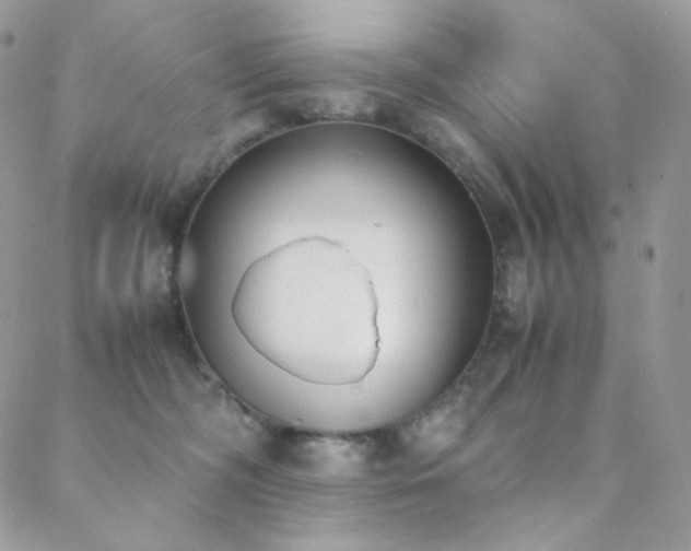 X0000089400326200706151233