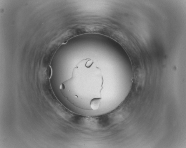 X0000089400327200706151233