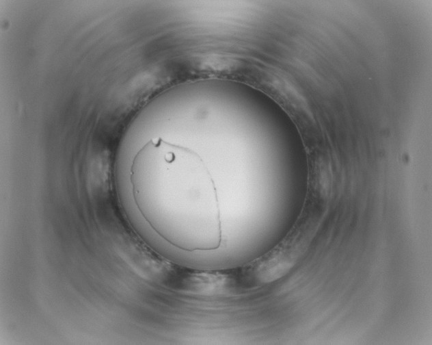 X0000089400328200706151233