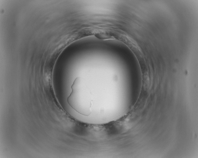 X0000089400329200706151233