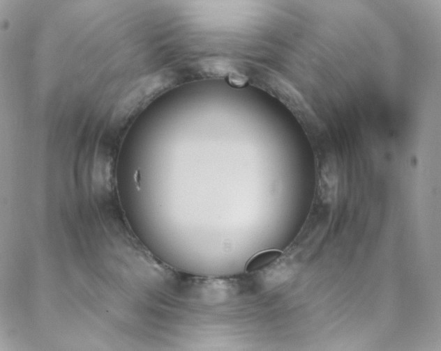 X0000089400330200706151233