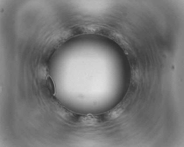 X0000089400331200706151233