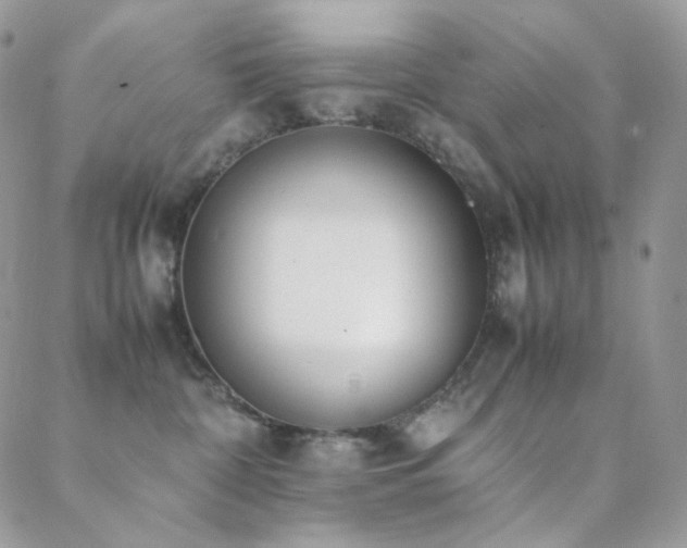 X0000089400332200706151233