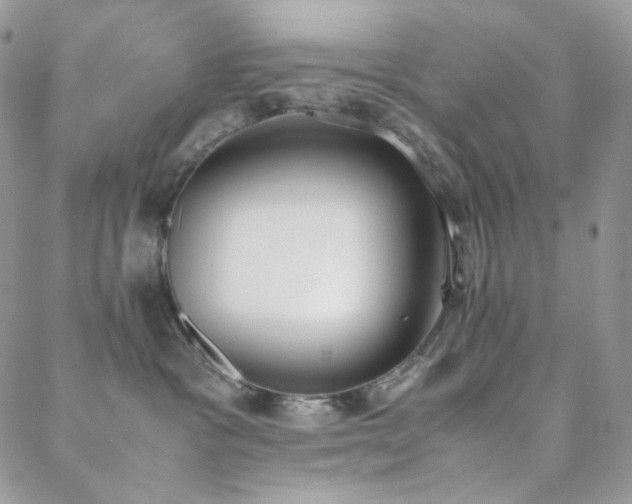 X0000089400333200706151233