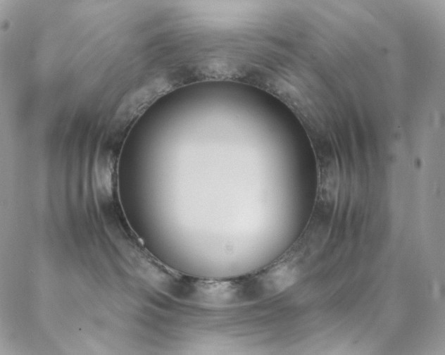 X0000089400334200706151233