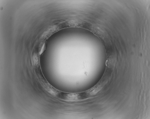 X0000089400335200706151233