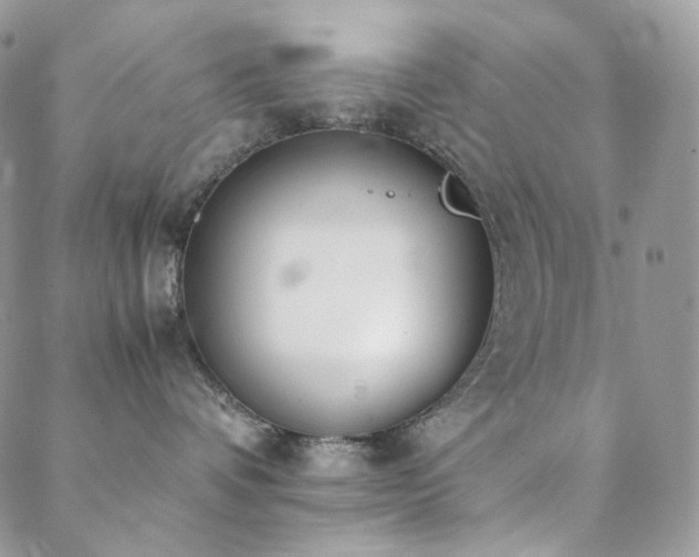 X0000089400336200706151233