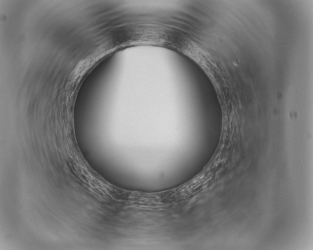 X0000089400337200706151232