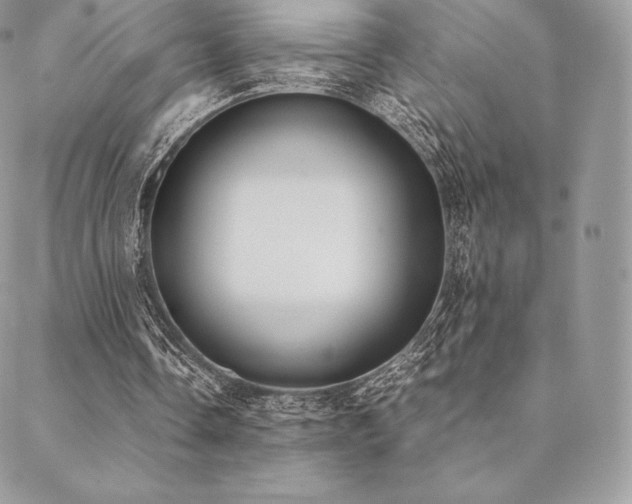 X0000089400338200706151232