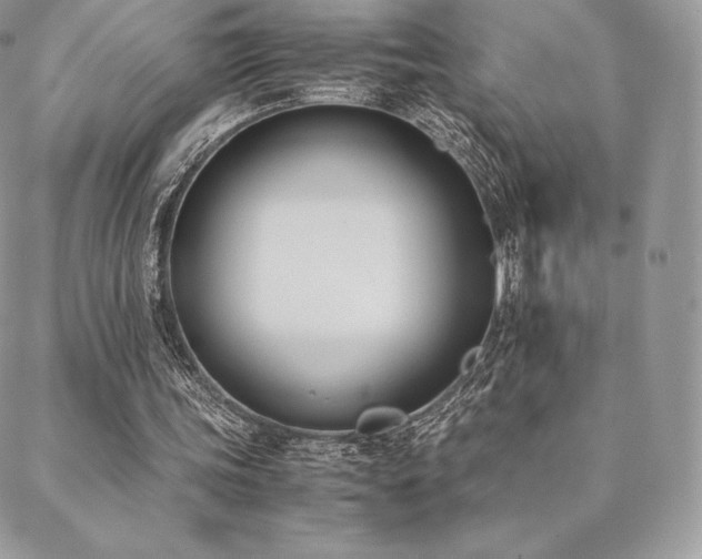 X0000089400339200706151232