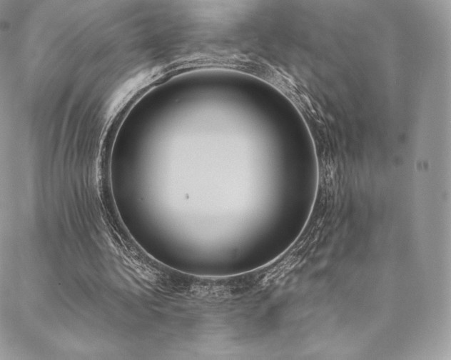 X0000089400340200706151232