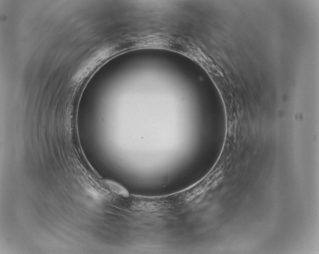 X0000089400341200706151232