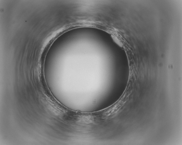 X0000089400342200706151232