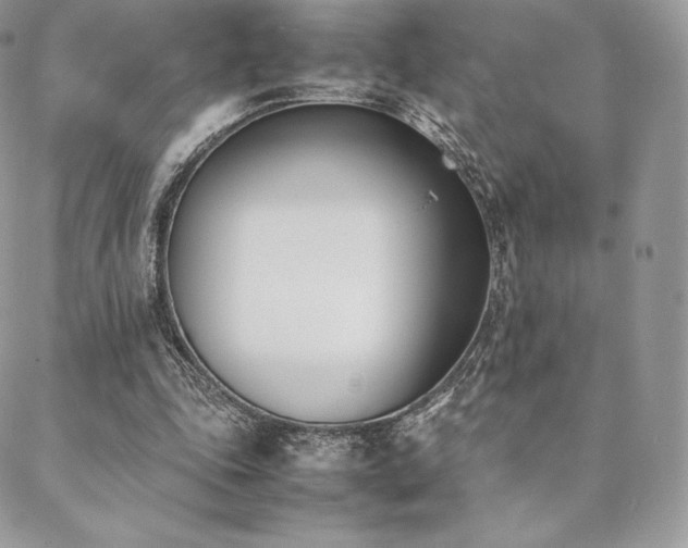 X0000089400343200706151232