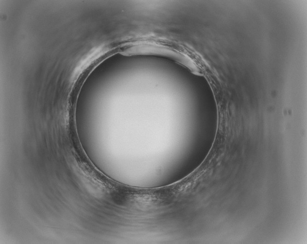 X0000089400344200706151232