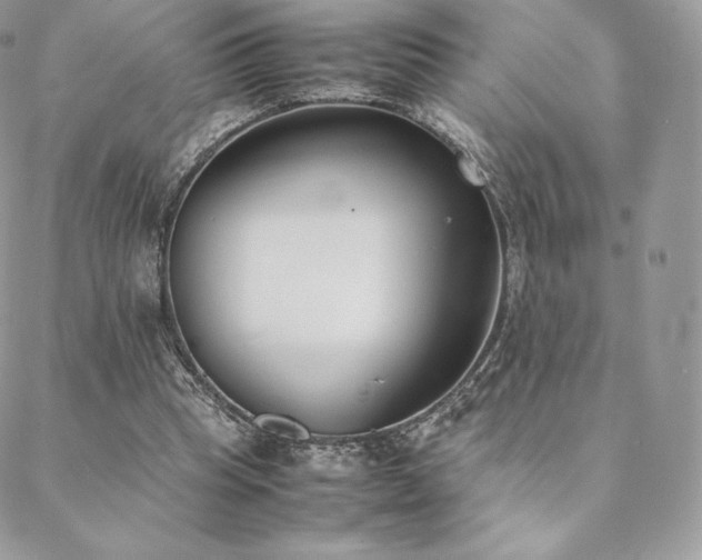 X0000089400345200706151232