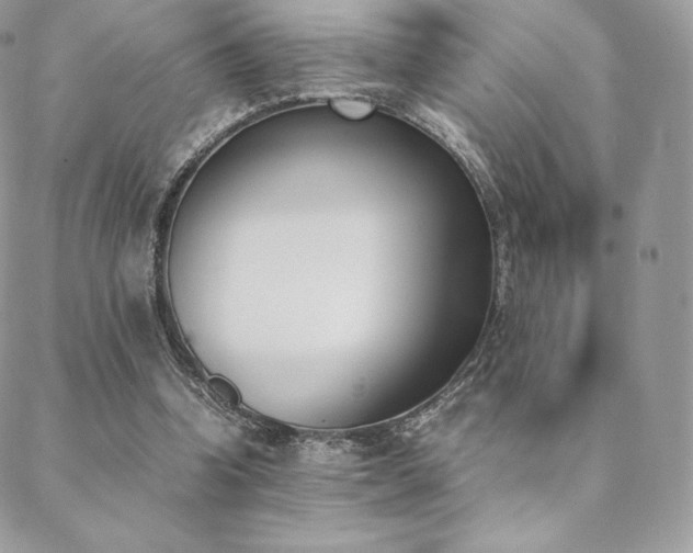 X0000089400346200706151232