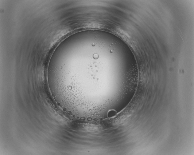 X0000089400347200706151232