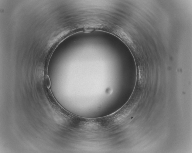 X0000089400348200706151232