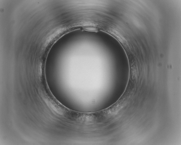 X0000089400350200706151232