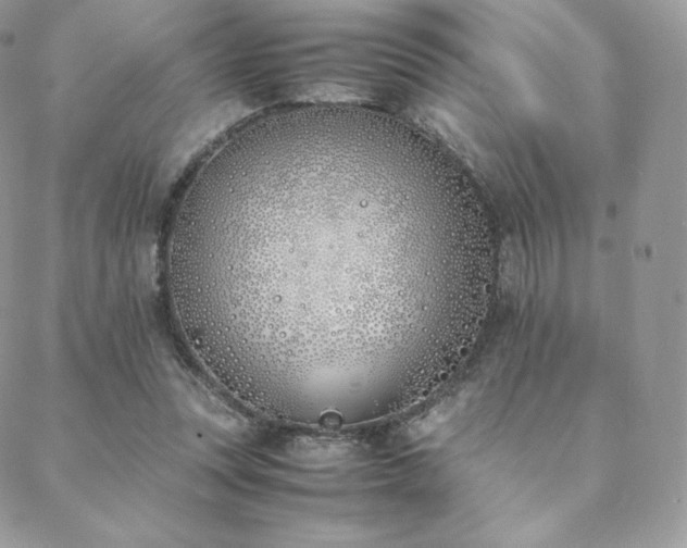 X0000089400351200706151232