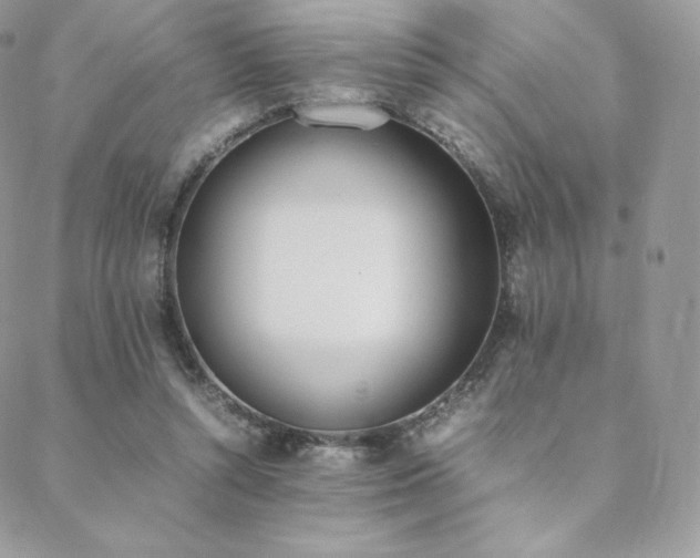 X0000089400352200706151232