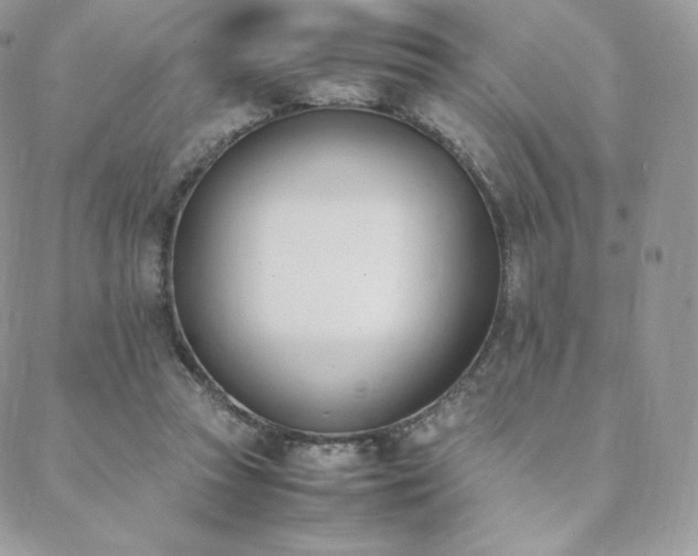 X0000089400353200706151232