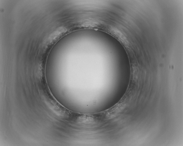 X0000089400354200706151232