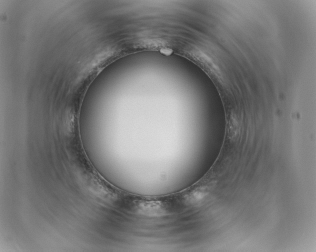 X0000089400355200706151232