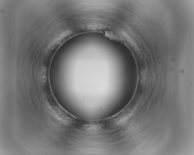 X0000089400356200706151232